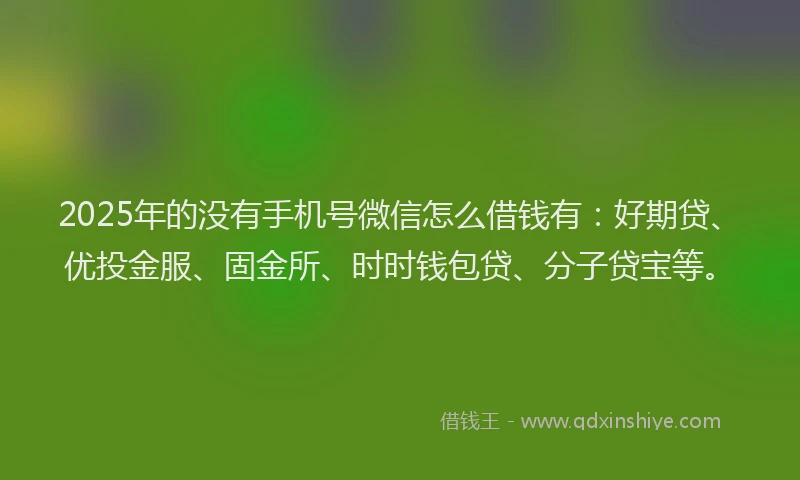 2025年的没有手机号微信怎么借钱有：好期贷、优投金服、固金所、时时钱包贷、分子贷宝等。