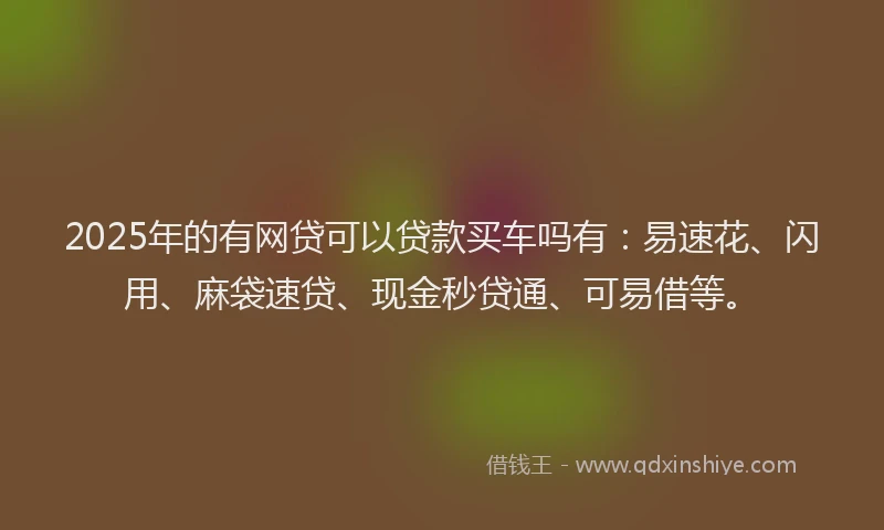 2025年的有网贷可以贷款买车吗有：易速花、闪用、麻袋速贷、现金秒贷通、可易借等。
