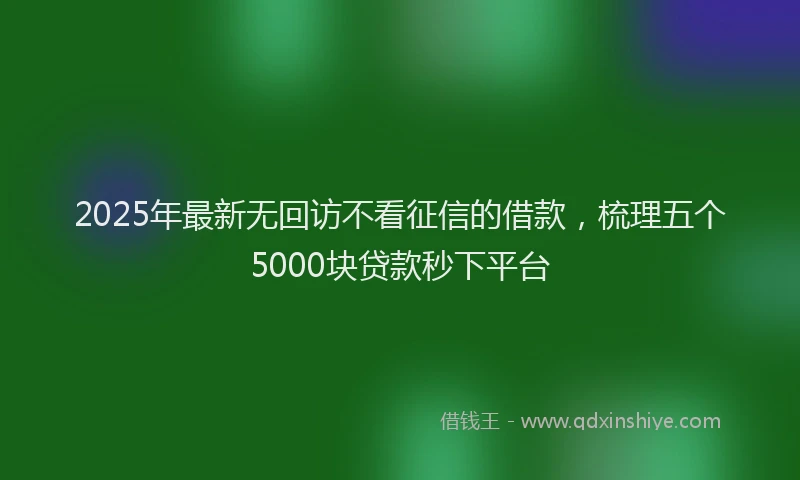 2025年最新无回访不看征信的借款，梳理五个5000块贷款秒下平台