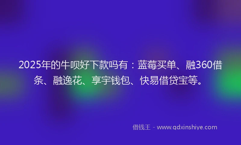 2025年的牛呗好下款吗有：蓝莓买单、融360借条、融逸花、享宇钱包、快易借贷宝等。