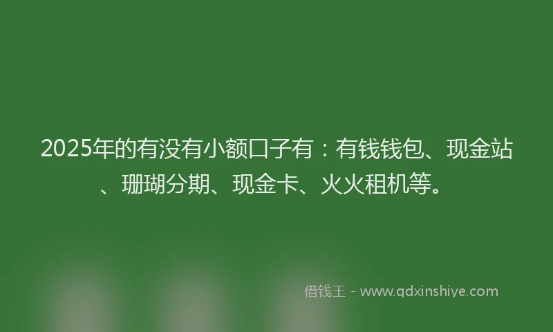 2025年的有没有小额口子有：有钱钱包、现金站、珊瑚分期、现金卡、火火租机等。