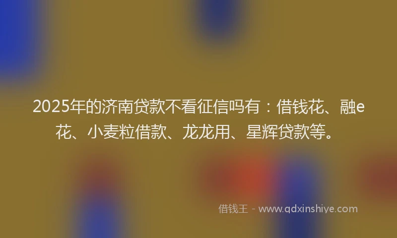 2025年的济南贷款不看征信吗有：借钱花、融e花、小麦粒借款、龙龙用、星辉贷款等。