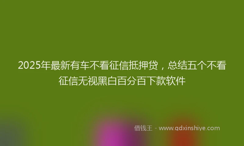 2025年最新有车不看征信抵押贷，总结五个不看征信无视黑白百分百下款软件