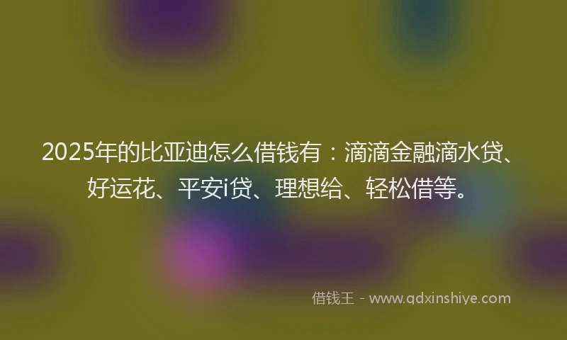 2025年的比亚迪怎么借钱有：滴滴金融滴水贷、好运花、平安i贷、理想给、轻松借等。
