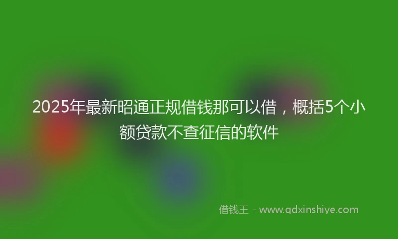 2025年最新昭通正规借钱那可以借，概括5个小额贷款不查征信的软件