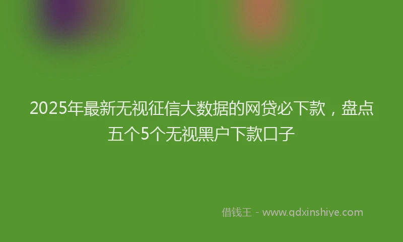2025年最新无视征信大数据的网贷必下款，盘点五个5个无视黑户下款口子