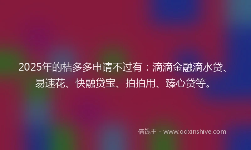 2025年的桔多多申请不过有：滴滴金融滴水贷、易速花、快融贷宝、拍拍用、臻心贷等。