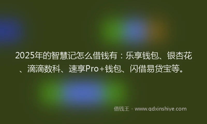 2025年的智慧记怎么借钱有：乐享钱包、银杏花、滴滴数科、速享Pro+钱包、闪借易贷宝等。