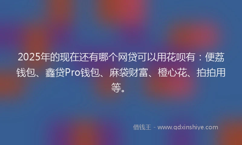2025年的现在还有哪个网贷可以用花呗有：便荔钱包、鑫贷Pro钱包、麻袋财富、橙心花、拍拍用等。
