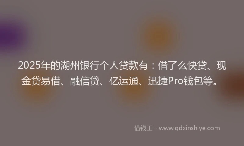 2025年的湖州银行个人贷款有：借了么快贷、现金贷易借、融信贷、亿运通、迅捷Pro钱包等。