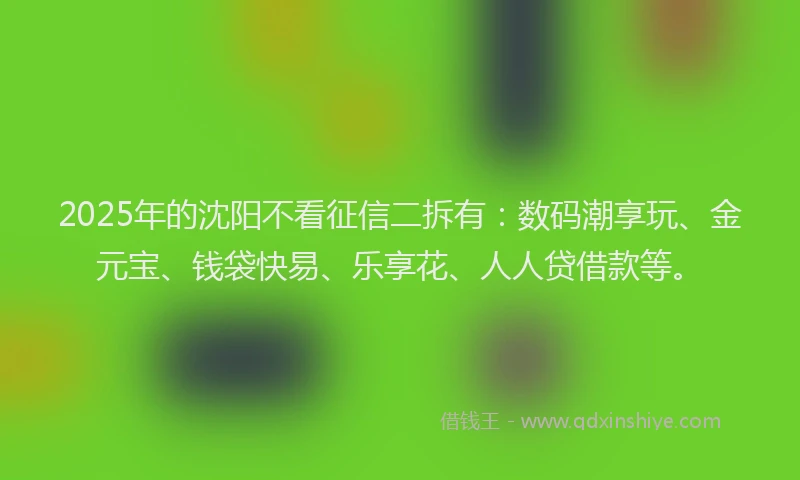 2025年的沈阳不看征信二拆有：数码潮享玩、金元宝、钱袋快易、乐享花、人人贷借款等。