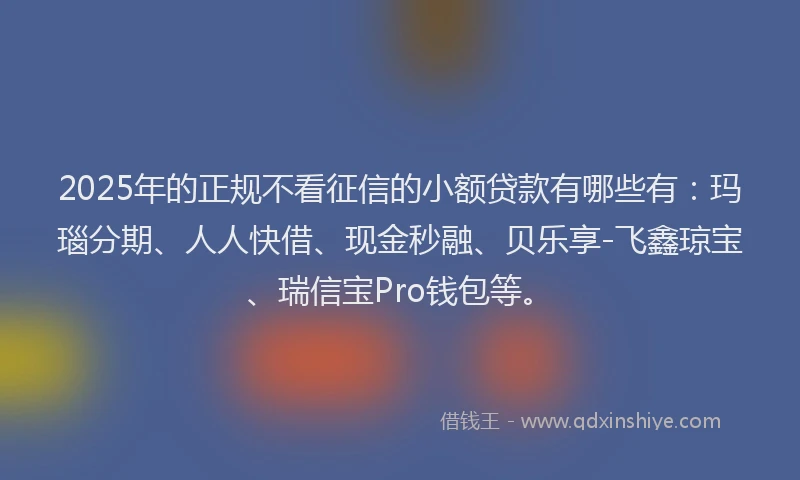 2025年的正规不看征信的小额贷款有哪些有：玛瑙分期、人人快借、现金秒融、贝乐享-飞鑫琼宝、瑞信宝Pro钱包等。