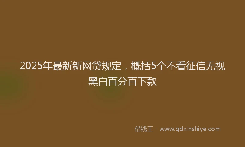 2025年最新新网贷规定，概括5个不看征信无视黑白百分百下款