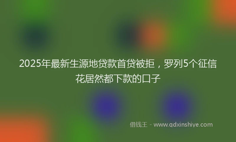 2025年最新生源地贷款首贷被拒，罗列5个征信花居然都下款的口子