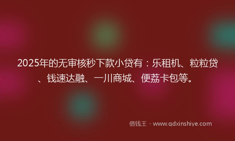 2025年的无审核秒下款小贷有：乐租机、粒粒贷、钱速达融、一川商城、便荔卡包等。