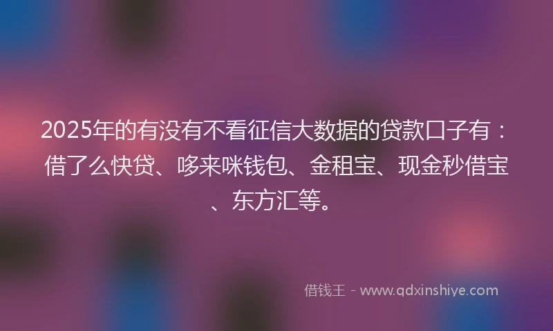 2025年的有没有不看征信大数据的贷款口子有：借了么快贷、哆来咪钱包、金租宝、现金秒借宝、东方汇等。