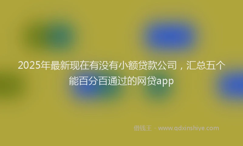2025年最新现在有没有小额贷款公司，汇总五个能百分百通过的网贷app