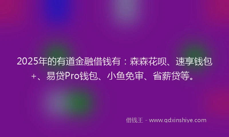2025年的有道金融借钱有：森森花呗、速享钱包+、易贷Pro钱包、小鱼免审、省薪贷等。