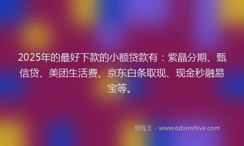 2025年的最好下款的小额贷款有：紫晶分期、甄信贷、美团生活费、京东白条取现、现金秒融易宝等。