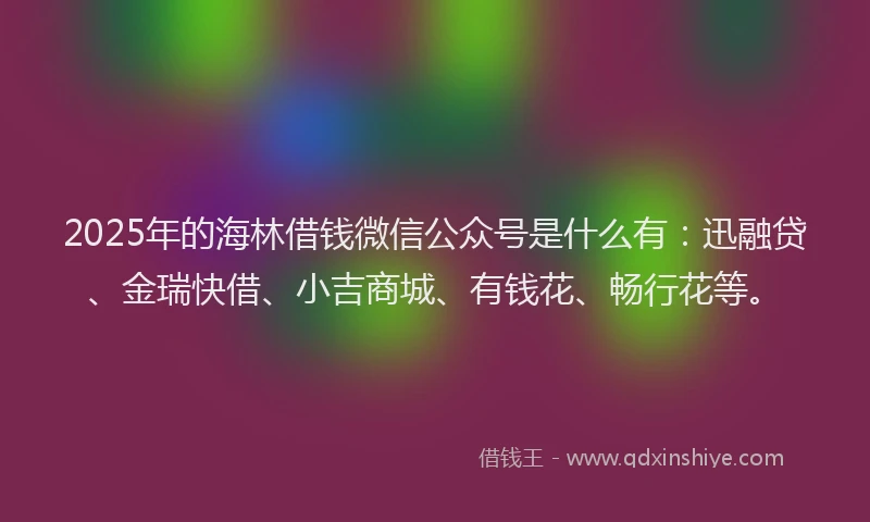2025年的海林借钱微信公众号是什么有：迅融贷、金瑞快借、小吉商城、有钱花、畅行花等。