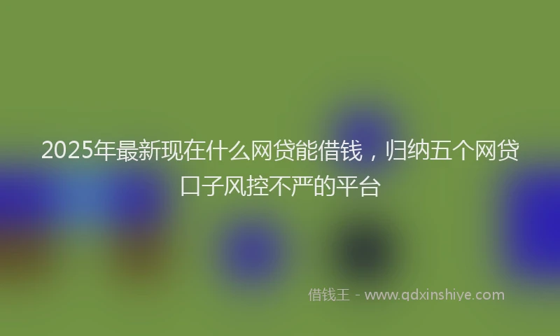 2025年最新现在什么网贷能借钱，归纳五个网贷口子风控不严的平台