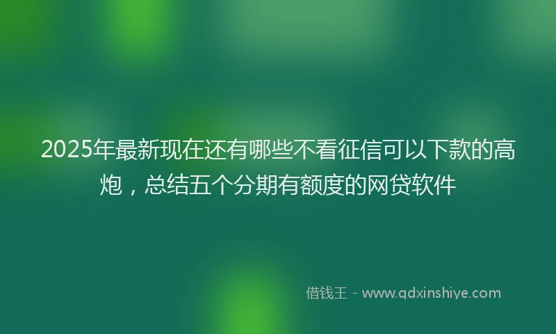 2025年最新现在还有哪些不看征信可以下款的高炮，总结五个分期有额度的网贷软件