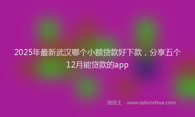 2025年最新武汉哪个小额贷款好下款，分享五个12月能贷款的app