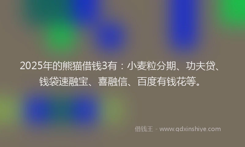 2025年的熊猫借钱3有：小麦粒分期、功夫贷、钱袋速融宝、喜融信、百度有钱花等。
