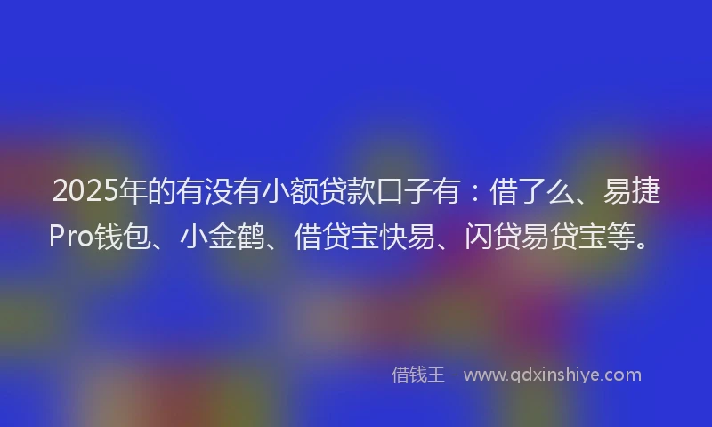 2025年的有没有小额贷款口子有：借了么、易捷Pro钱包、小金鹤、借贷宝快易、闪贷易贷宝等。