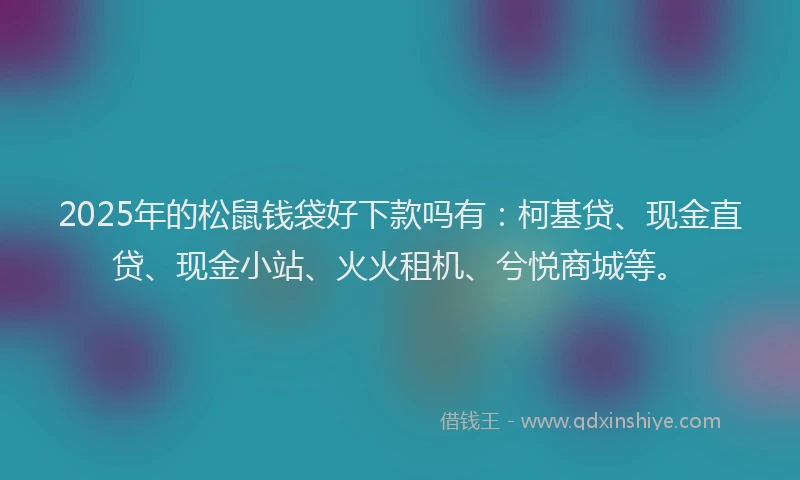 2025年的松鼠钱袋好下款吗有：柯基贷、现金直贷、现金小站、火火租机、兮悦商城等。