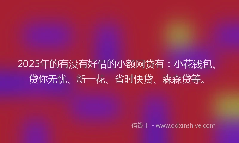2025年的有没有好借的小额网贷有：小花钱包、贷你无忧、新一花、省时快贷、森森贷等。