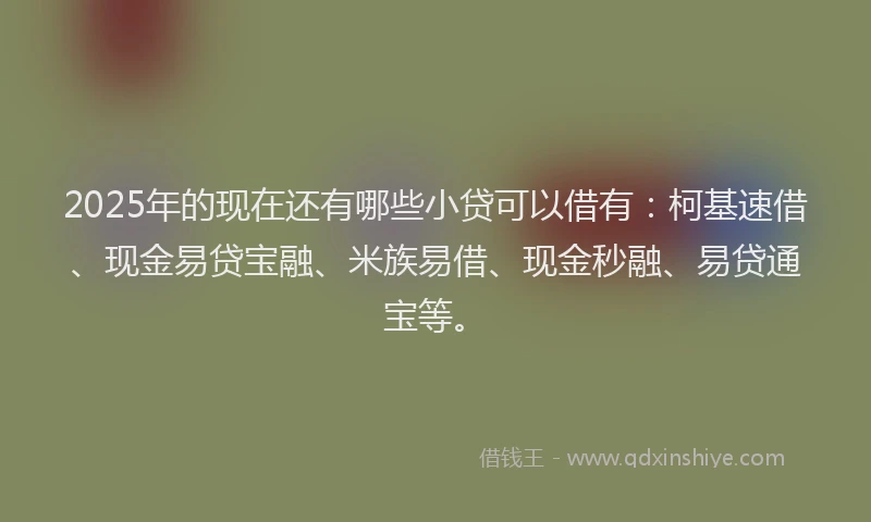2025年的现在还有哪些小贷可以借有：柯基速借、现金易贷宝融、米族易借、现金秒融、易贷通宝等。