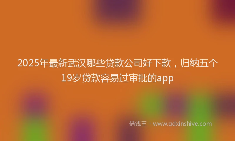 2025年最新武汉哪些贷款公司好下款，归纳五个19岁贷款容易过审批的app