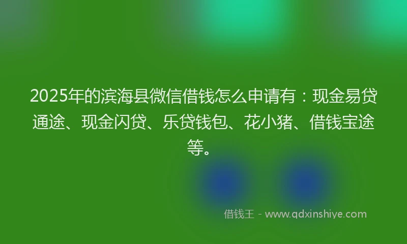 2025年的滨海县微信借钱怎么申请有：现金易贷通途、现金闪贷、乐贷钱包、花小猪、借钱宝途等。