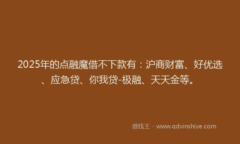 2025年的点融魔借不下款有：沪商财富、好优选、应急贷、你我贷-极融、天天金等。