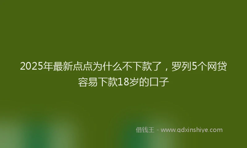 2025年最新点点为什么不下款了，罗列5个网贷容易下款18岁的口子