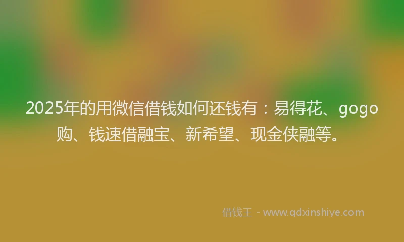 2025年的用微信借钱如何还钱有：易得花、gogo购、钱速借融宝、新希望、现金侠融等。