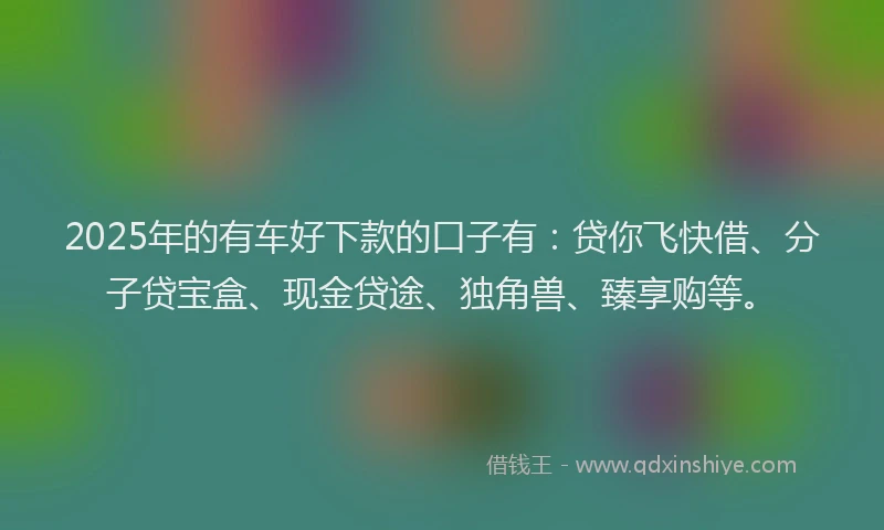 2025年的有车好下款的口子有：贷你飞快借、分子贷宝盒、现金贷途、独角兽、臻享购等。