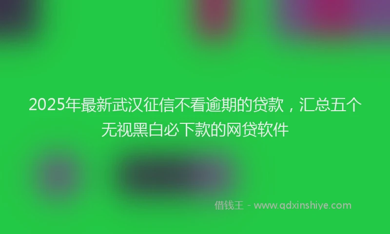 2025年最新武汉征信不看逾期的贷款，汇总五个无视黑白必下款的网贷软件