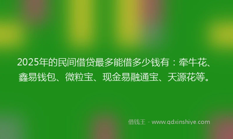 2025年的民间借贷最多能借多少钱有：牵牛花、鑫易钱包、微粒宝、现金易融通宝、天源花等。