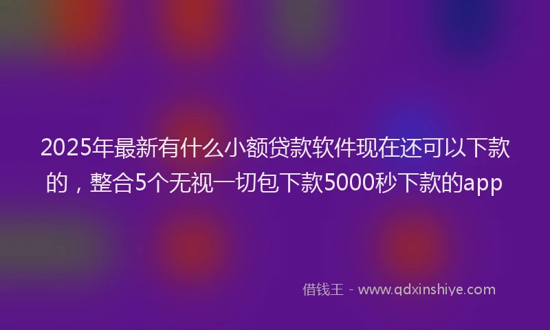 2025年最新有什么小额贷款软件现在还可以下款的，整合5个无视一切包下款5000秒下款的app