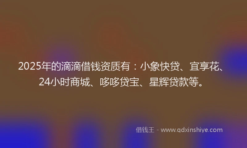 2025年的滴滴借钱资质有：小象快贷、宜享花、24小时商城、哆哆贷宝、星辉贷款等。