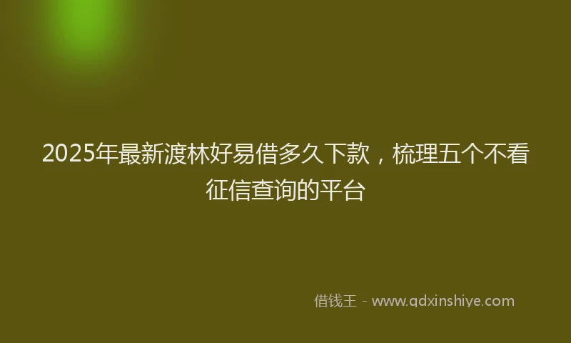 2025年最新渡林好易借多久下款，梳理五个不看征信查询的平台