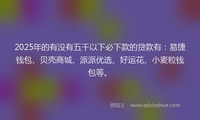 2025年的有没有五千以下必下款的贷款有：易捷钱包、贝壳商城、派派优选、好运花、小麦粒钱包等。