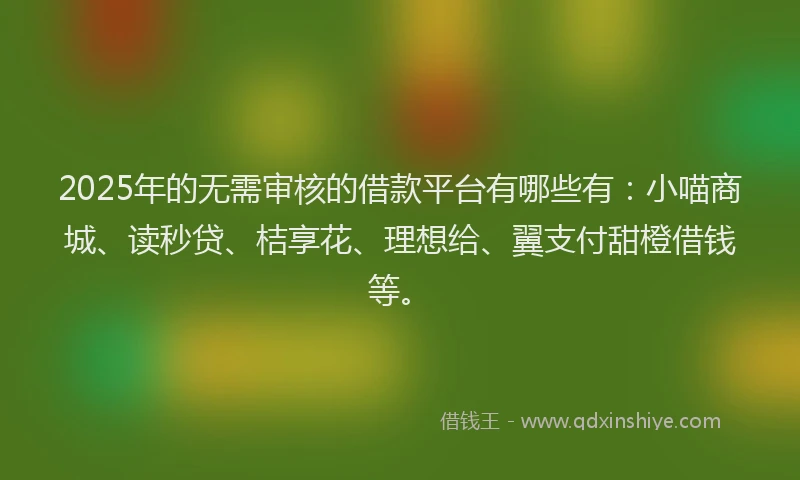 2025年的无需审核的借款平台有哪些有：小喵商城、读秒贷、桔享花、理想给、翼支付甜橙借钱等。