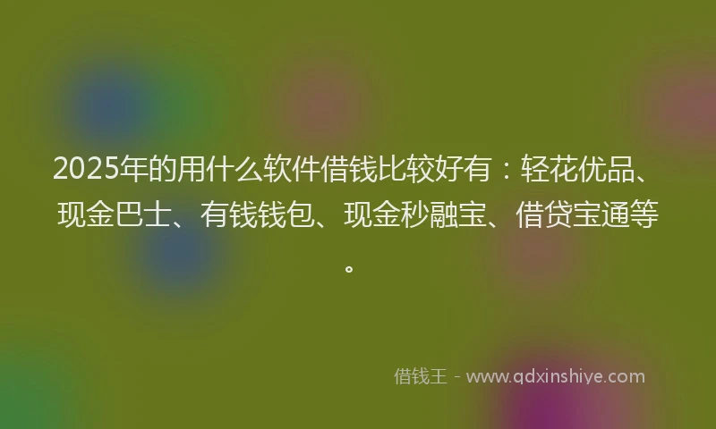 2025年的用什么软件借钱比较好有：轻花优品、现金巴士、有钱钱包、现金秒融宝、借贷宝通等。