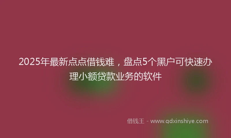 2025年最新点点借钱难，盘点5个黑户可快速办理小额贷款业务的软件