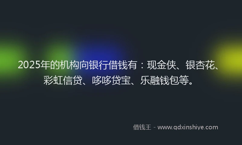 2025年的机构向银行借钱有：现金侠、银杏花、彩虹信贷、哆哆贷宝、乐融钱包等。