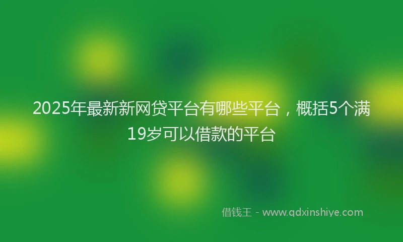 2025年最新新网贷平台有哪些平台，概括5个满19岁可以借款的平台