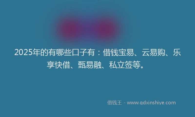2025年的有哪些口子有：借钱宝易、云易购、乐享快借、甄易融、私立签等。